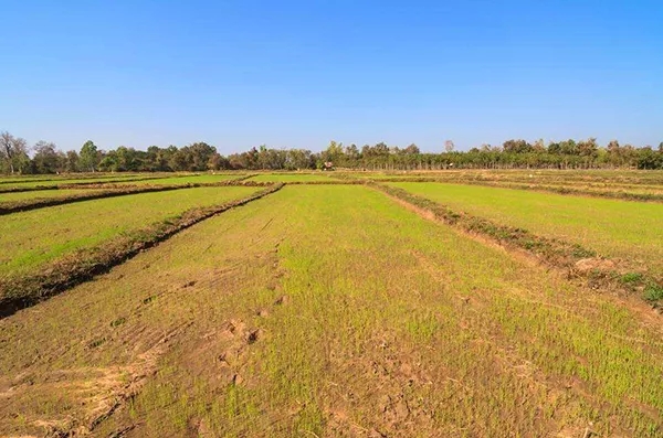 1.webp.jpg 1.webp.jpg