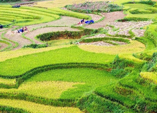 4.webp.jpg 4.webp.jpg