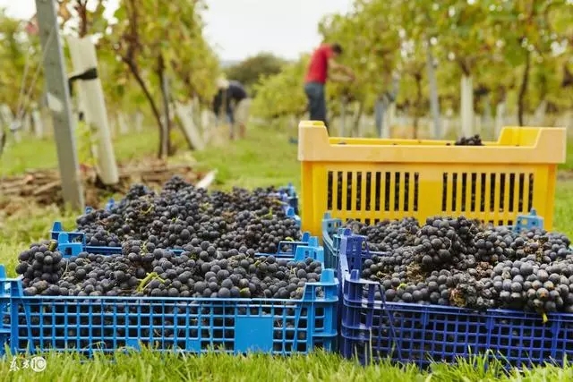 3.webp.jpg 3.webp.jpg