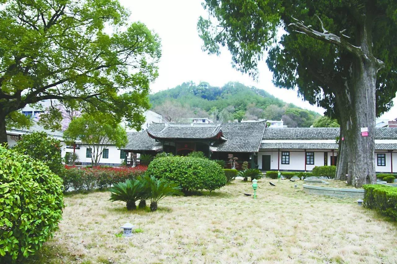 5.webp.jpg 5.webp.jpg