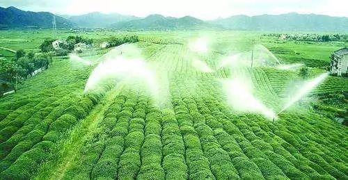 焦点｜多地发展循环农业，助推农业绿色发展