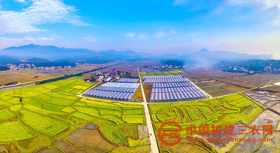 1、3月13日,浦城县彩绘油菜观光园全景航拍图(黄庆党 摄).jpg