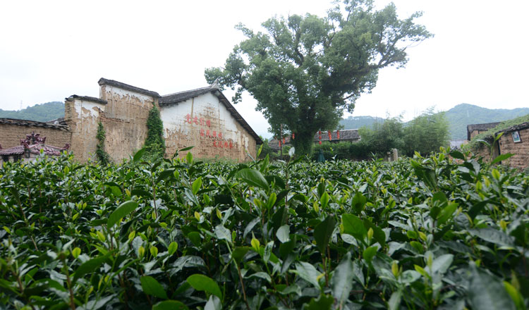 d0c3a3b4b64fa756b5a1afc7f5ebb69d.jpg 4.jpg