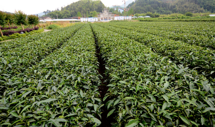 f17fc863a06858dda09c47e1e8ebfc47.jpg 8.jpg