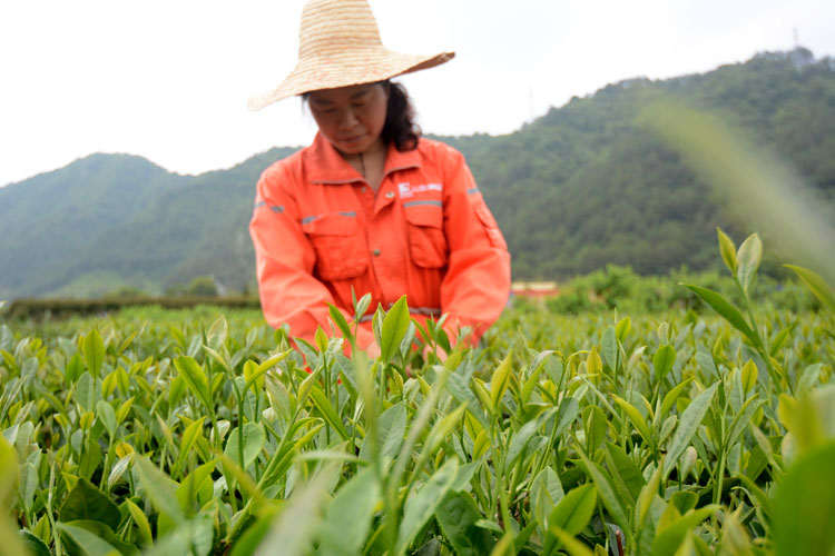 ee31126a3a2b6a587f9bf66d570847d6.jpg 6.jpg