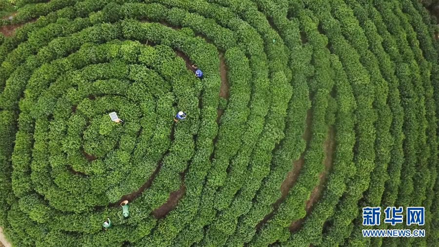 （北京世园会）（12）生态中国· 一蓑烟雨梦江淮