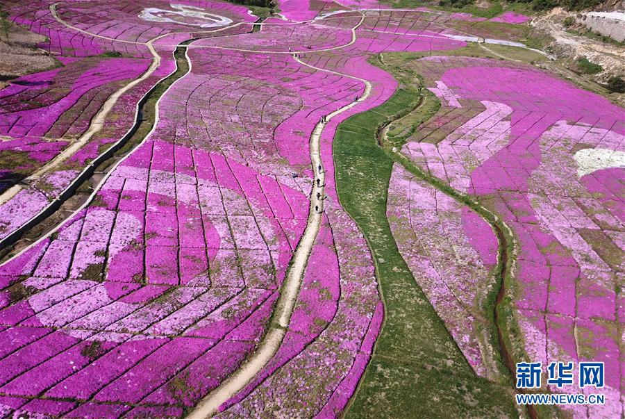 （北京世园会）（10）生态中国· 一蓑烟雨梦江淮