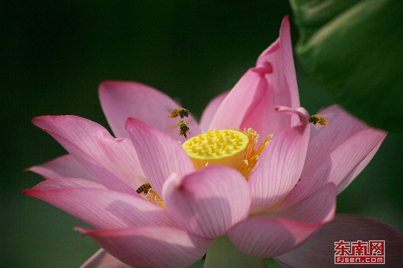 1564291642859060145.jpg lh190728-8.jpg