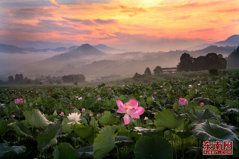 1564291639337078260.jpg lh190728-1.jpg