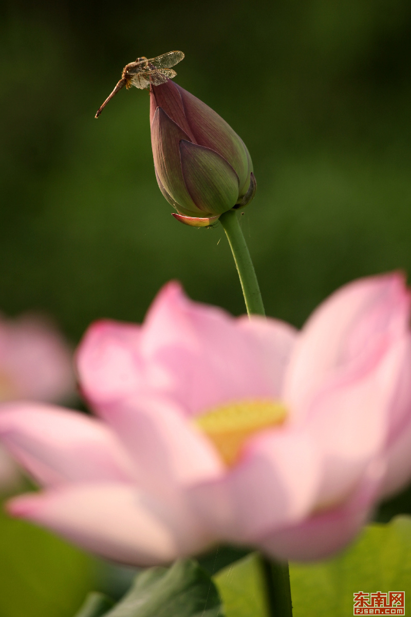 1564291639335056014.jpg lh190728-5.jpg