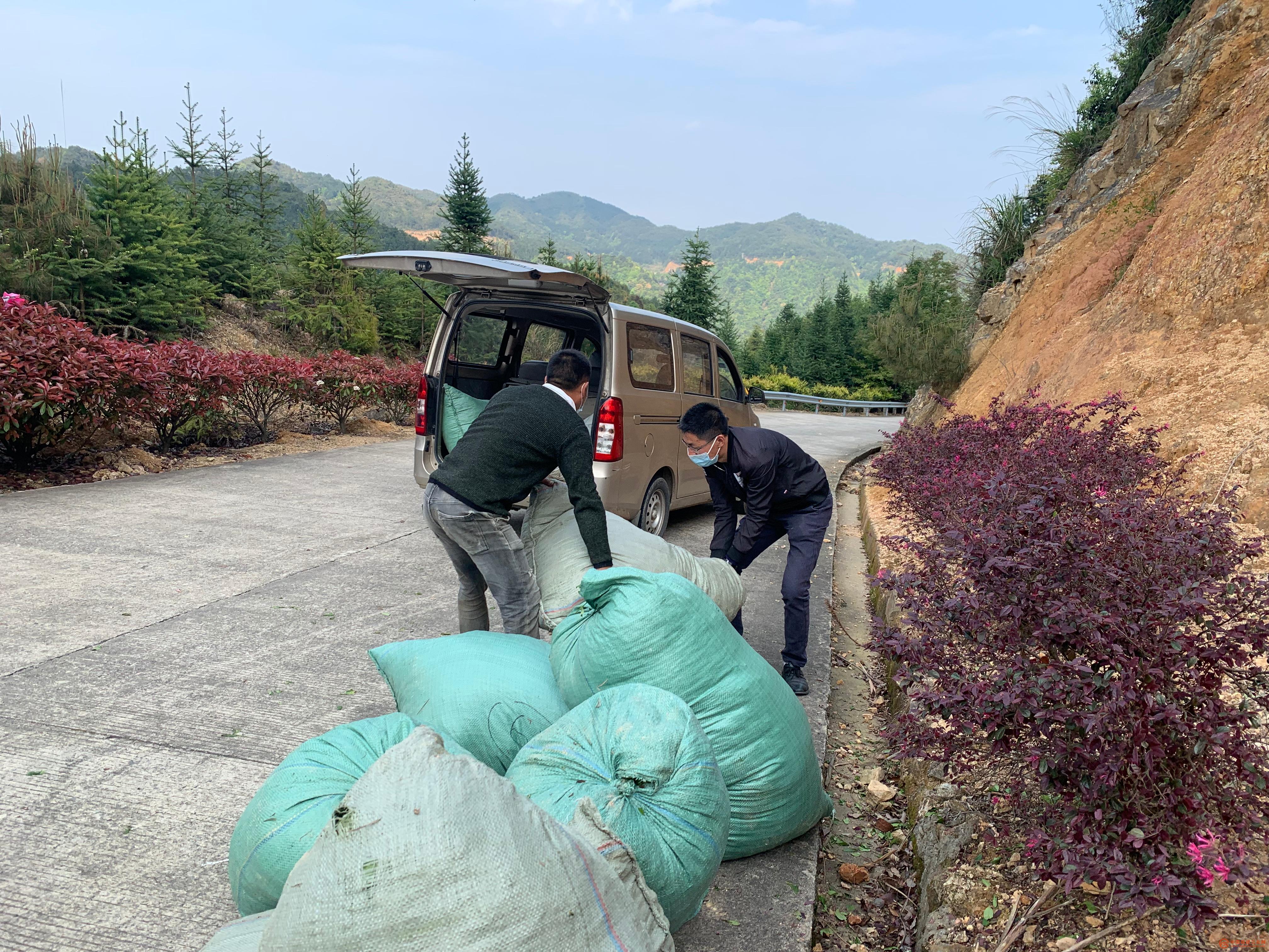协助运送茶青到村新茶厂加工.jpg