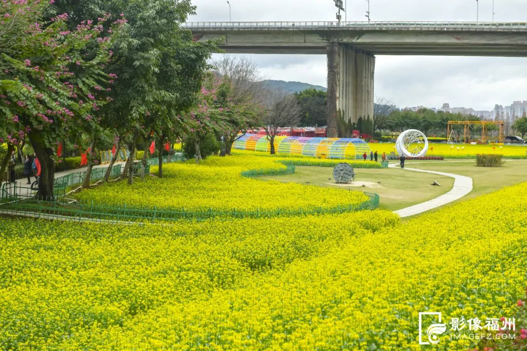 福州这5个网红公园,你打卡了吗?