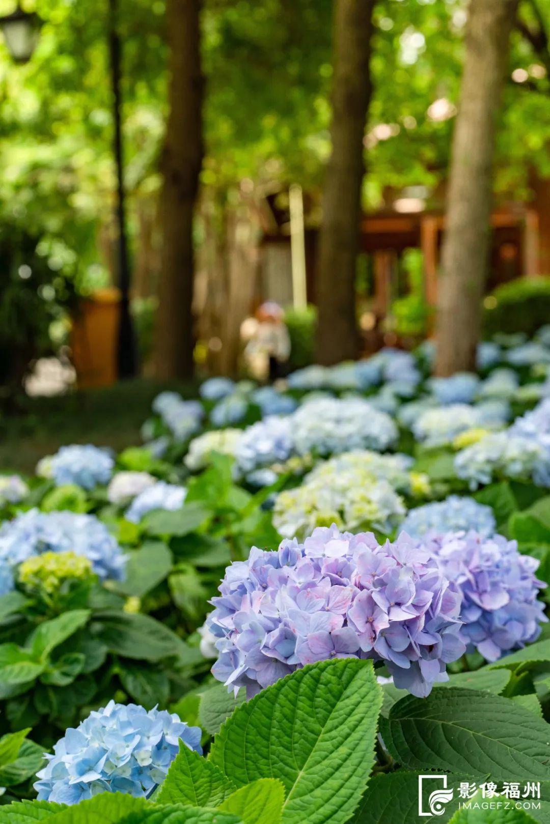 福州这5个网红公园,你打卡了吗?