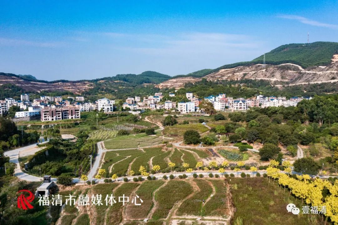 持续到10月中下旬!福州这里有45亩花海!