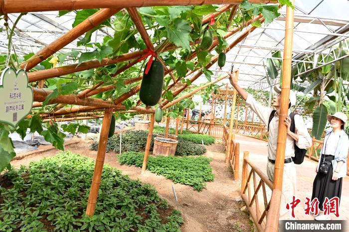 民众在现代农业展示馆参观拍照。 张金川 摄