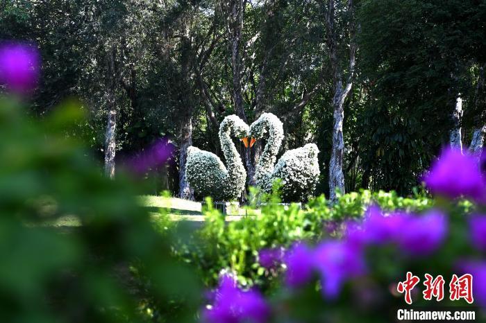 东南花都花博园内的迷人景观。 张金川 摄