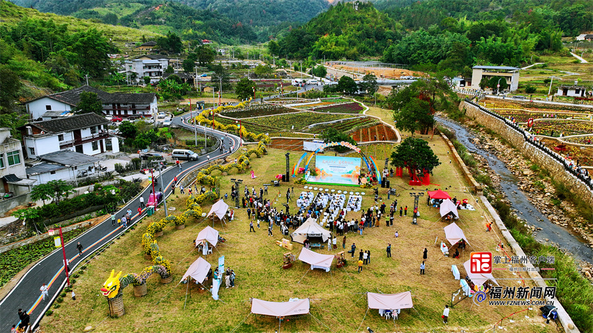 永泰首届菊花文化艺术节：西湖园艺入山村 清凉菊花秋意浓