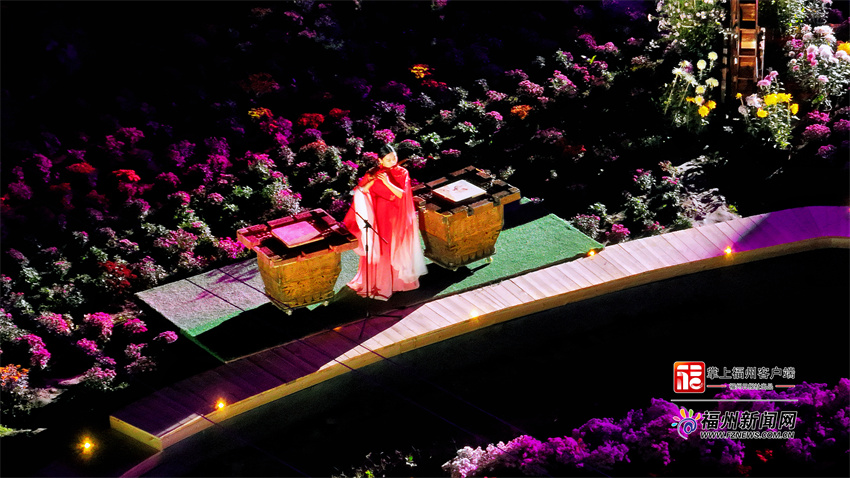 永泰首届菊花文化艺术节：西湖园艺入山村 清凉菊花秋意浓