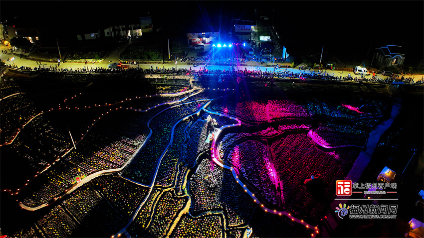 永泰首届菊花文化艺术节：西湖园艺入山村 清凉菊花秋意浓