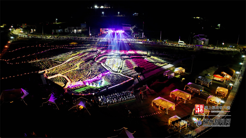 永泰首届菊花文化艺术节：西湖园艺入山村 清凉菊花秋意浓