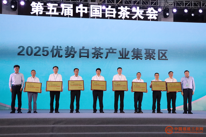 图片20.png