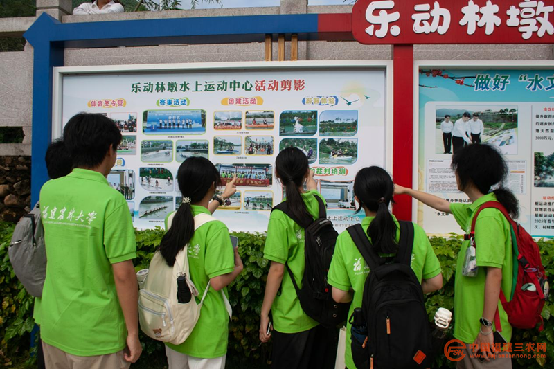 图片13.png