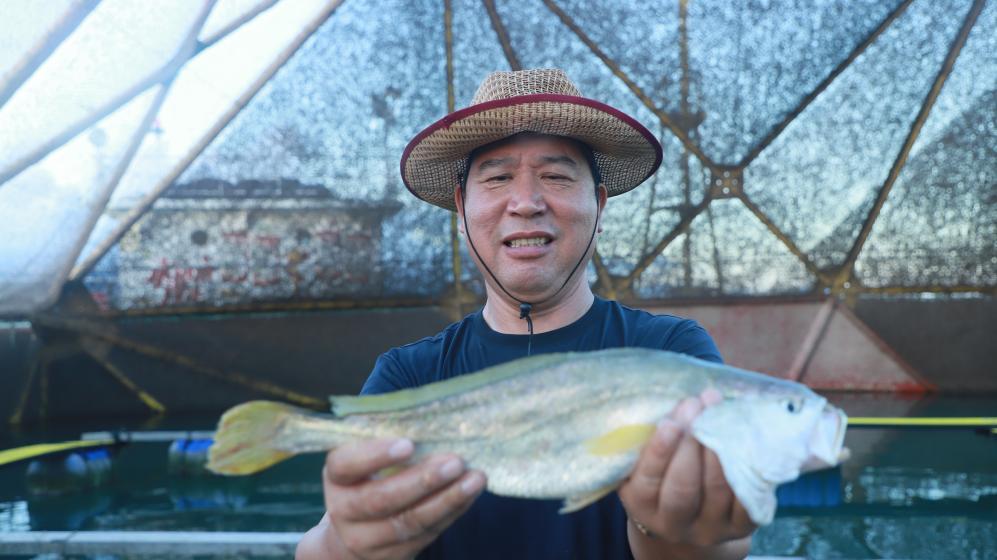 “海上粮仓”秋收忙