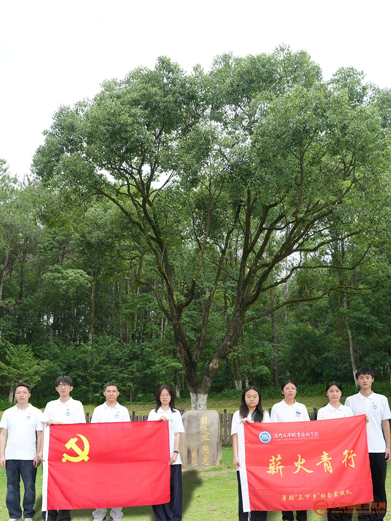 图片8.png
