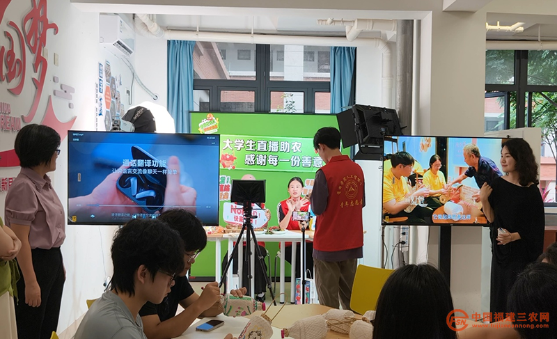图片13.png
