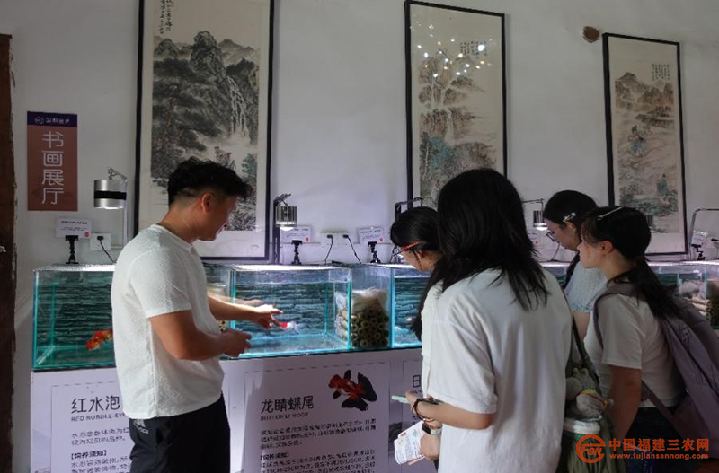 图片27.png