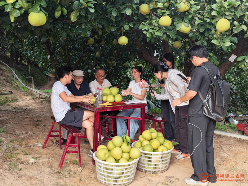 图片6.png